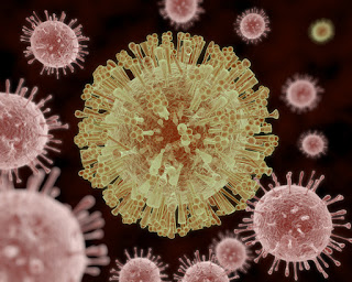 Virus Zika, lo que necesitas saber